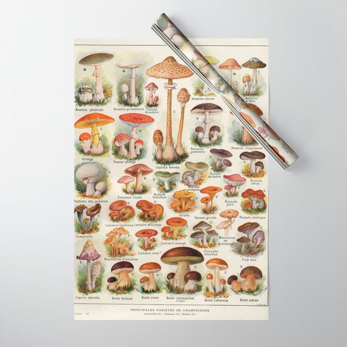 Mushroom Varieties Chart Species Vintage Scientific illustration French  Language Wrapping Paper by Art Of Science